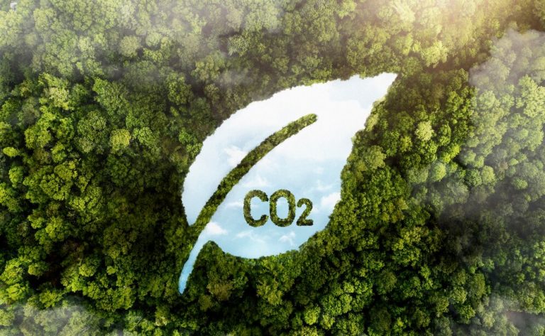 Compensação de Carbono para um Mundo Mais Verde